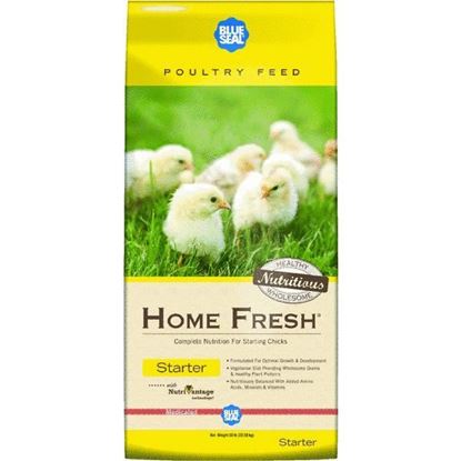 Kent Feed Home Fresh Multi Flock Starter 50#